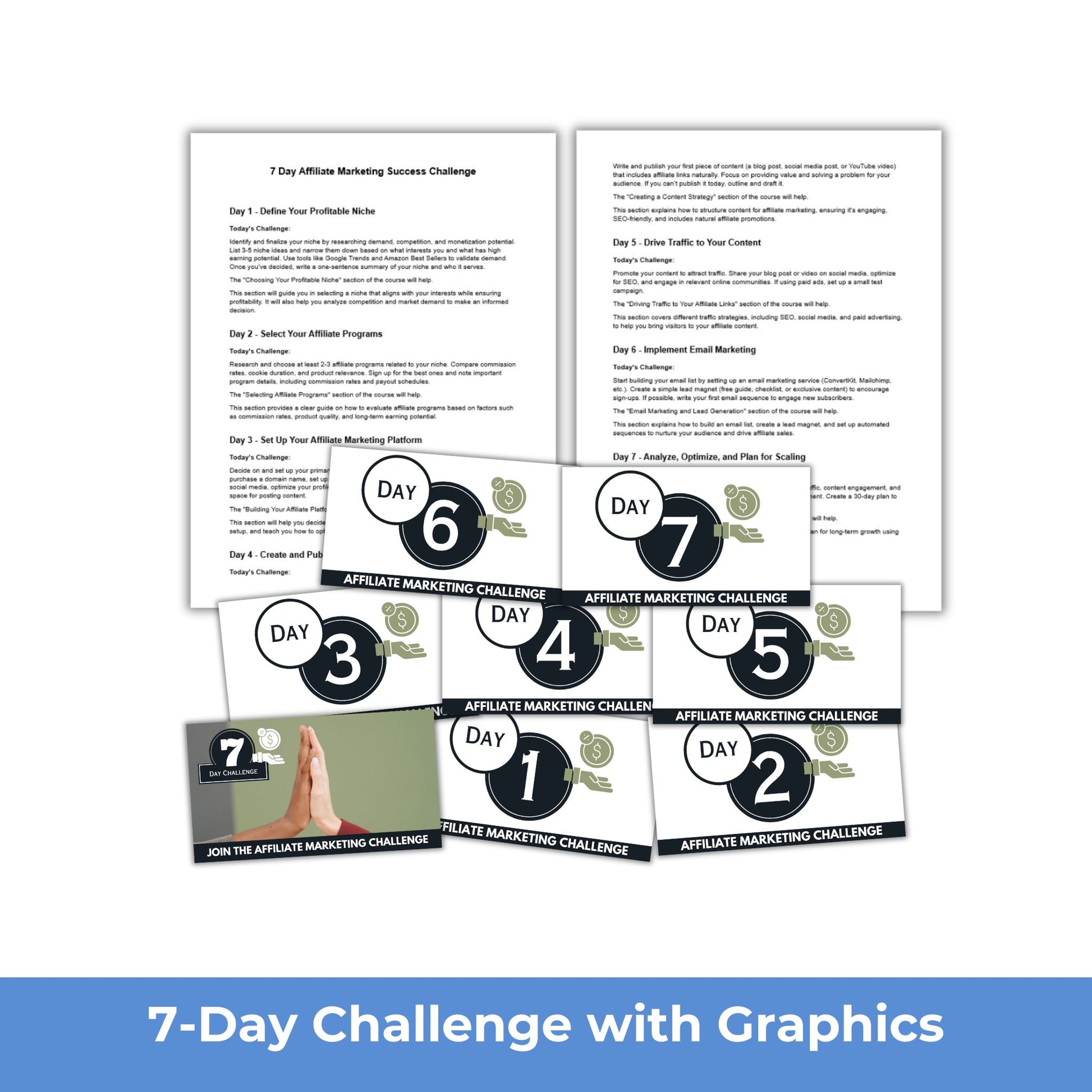 Affiliate Marketing PLR 7 day challenge