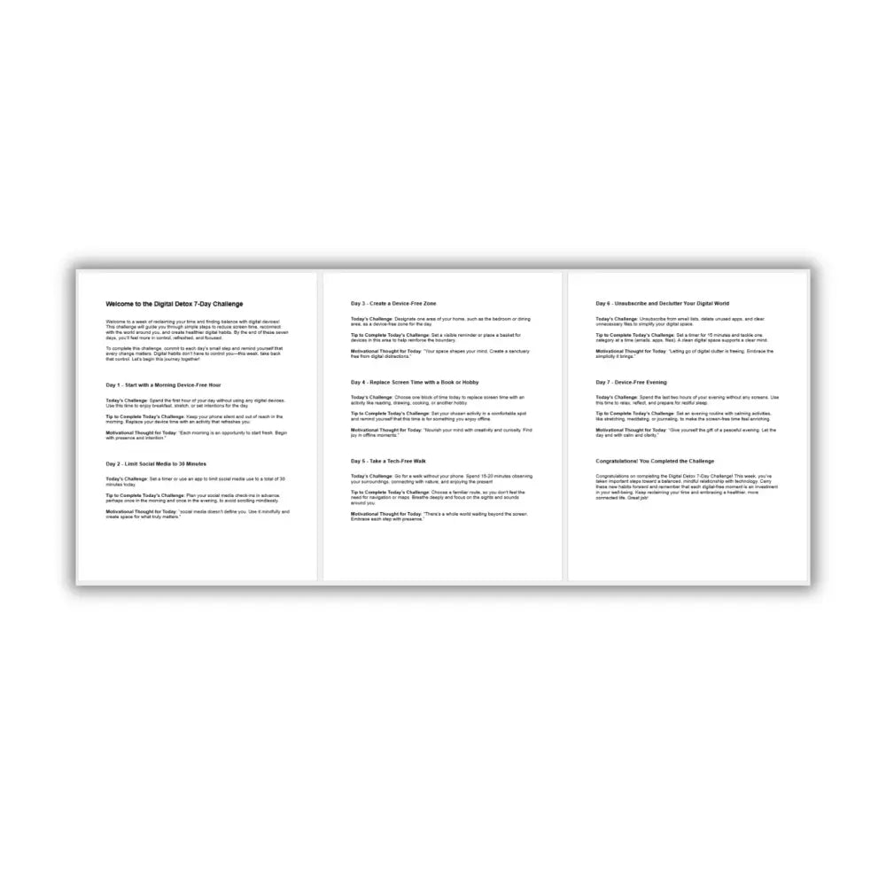7-Day Digital Detox Challenge PLR Reports
