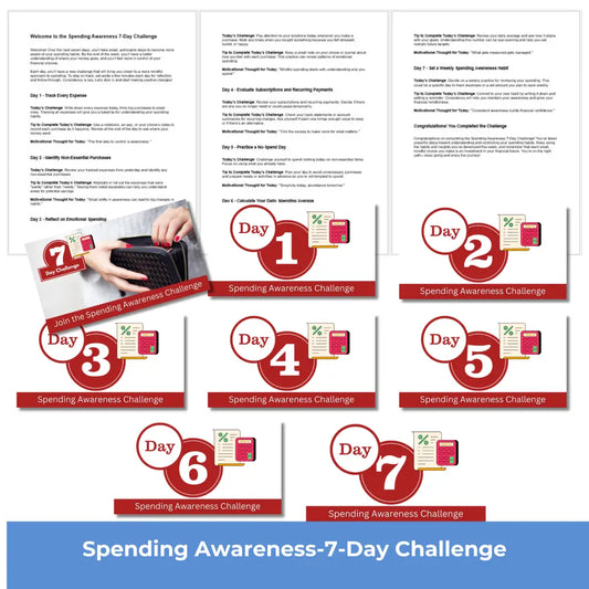 7-Day Spending Awareness Challenge PLR Reports