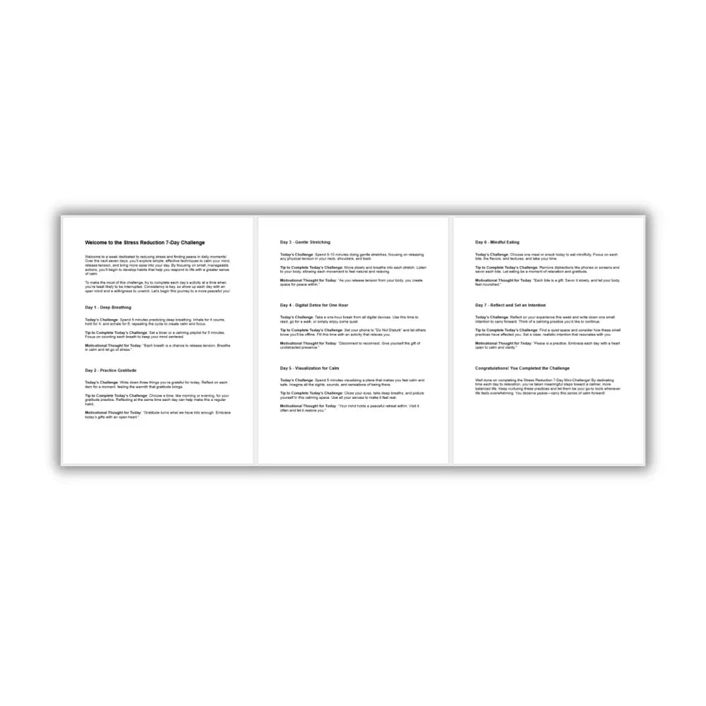 7-Day Stress Reduction Mini-Challenge PLR Reports