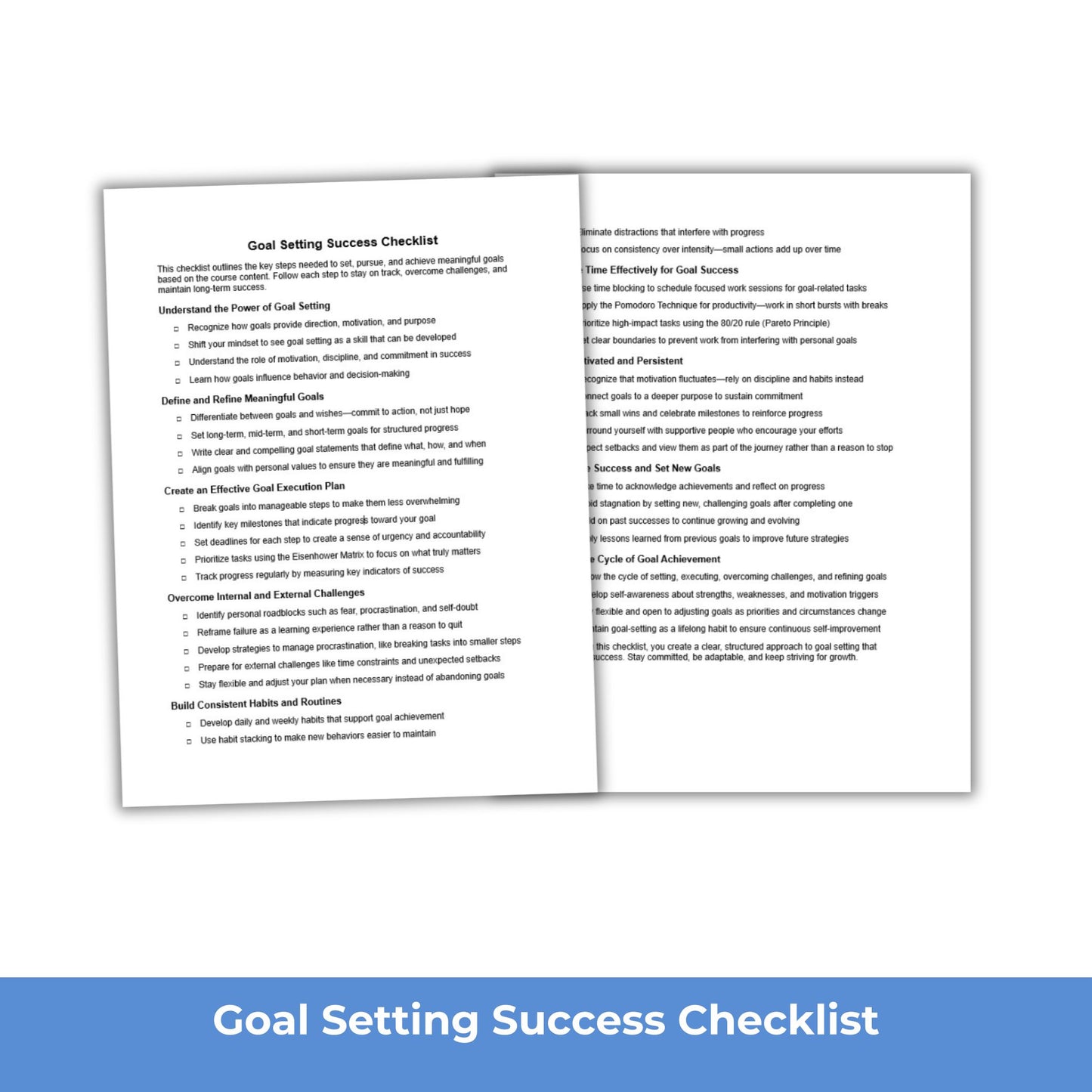 Goal Setting Checklist PLR