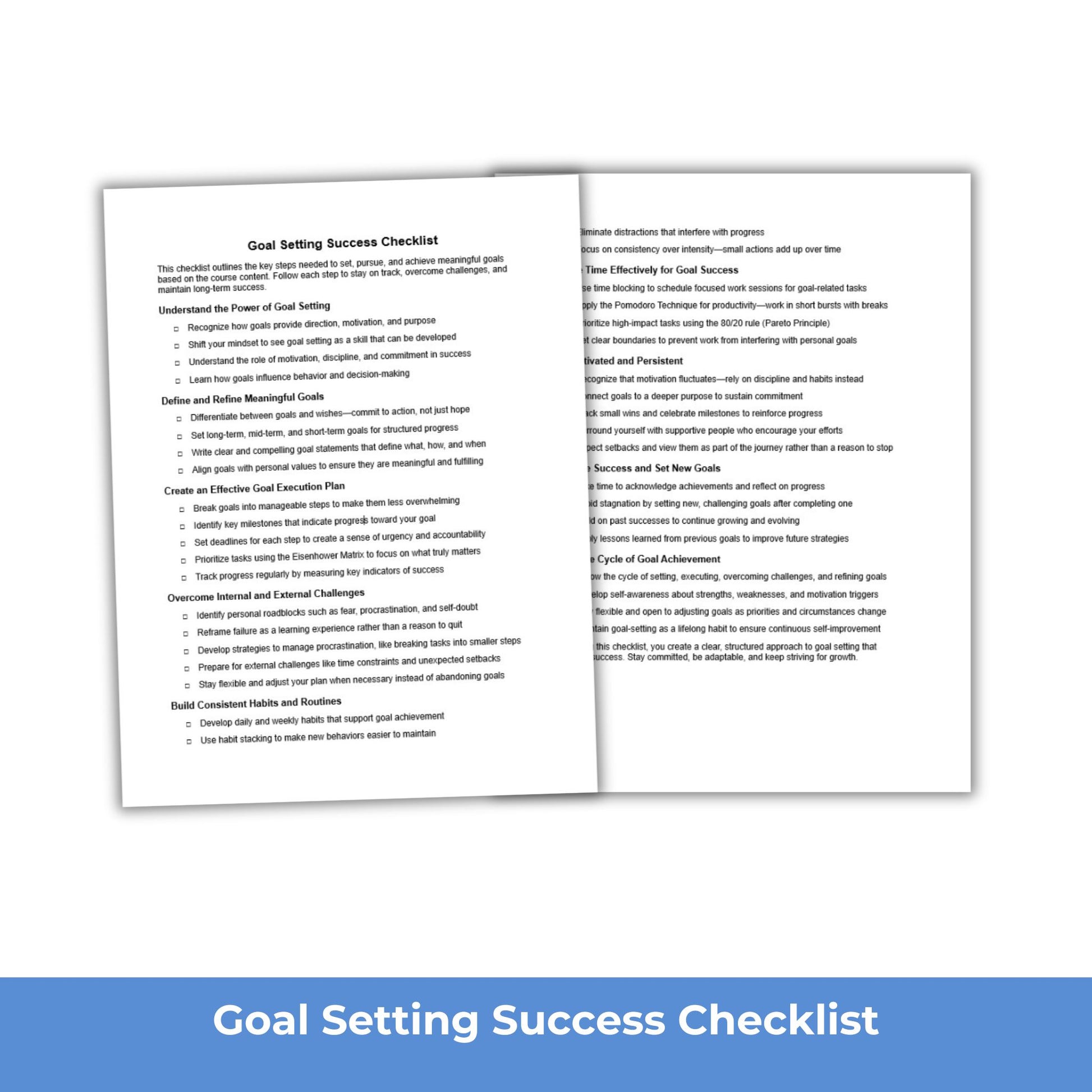 Goal Setting Checklist PLR