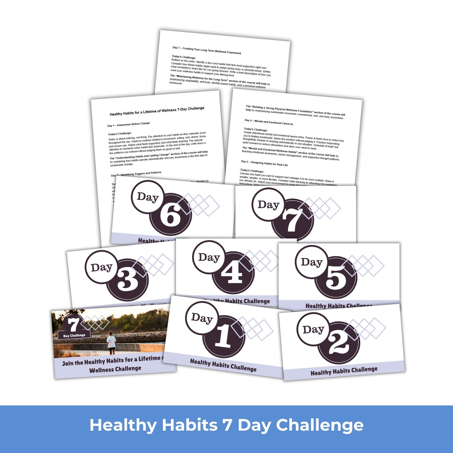 Healthy Habits for a Lifetime of Wellness - PLR Course