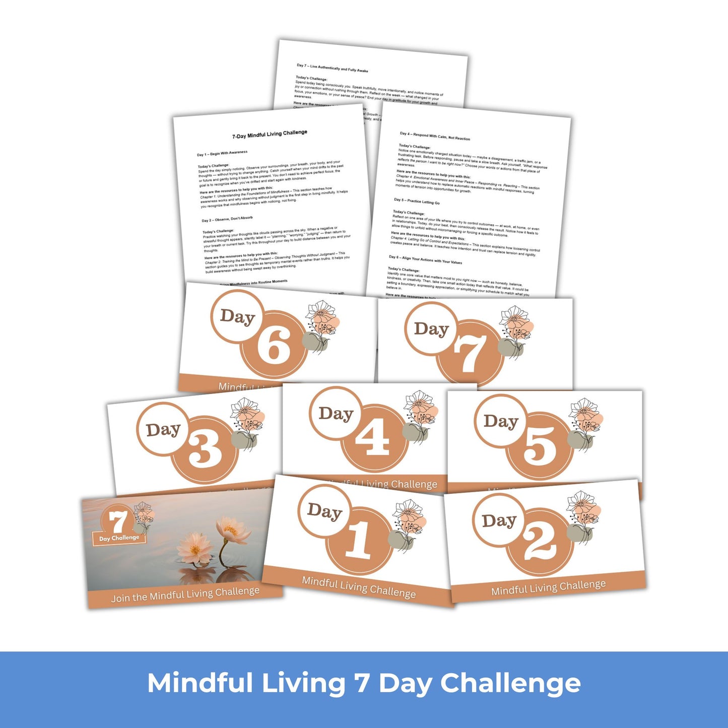 mindful living challenge plr