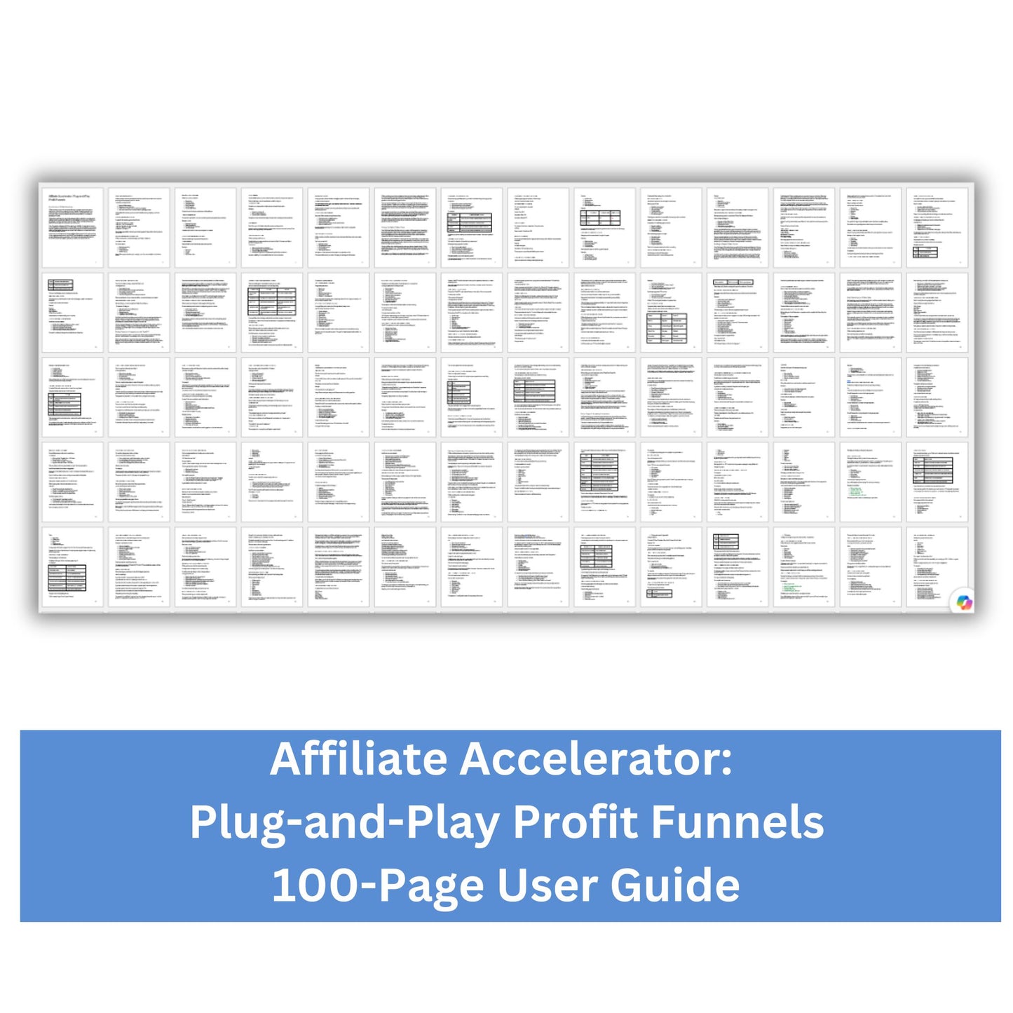 Private Label Rights Affiliate Guide and Templates