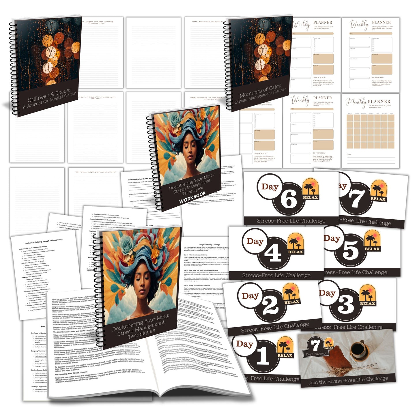 Decluttering Your Mind Stress Management PLR Course