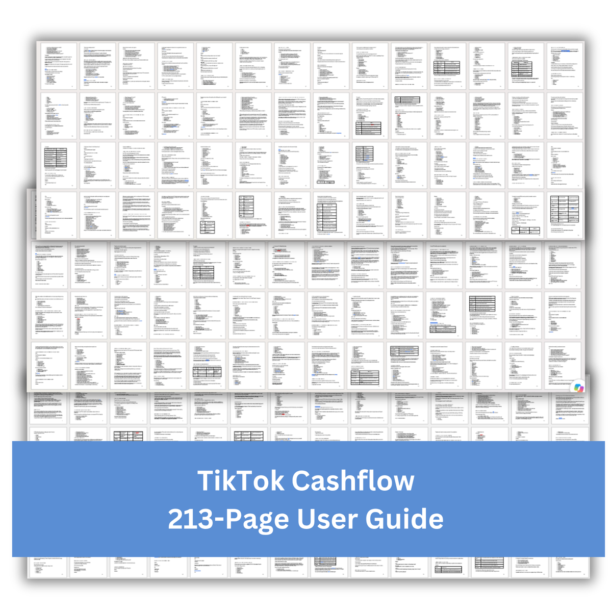 Introduction to TikTok PLR Guide and Templates