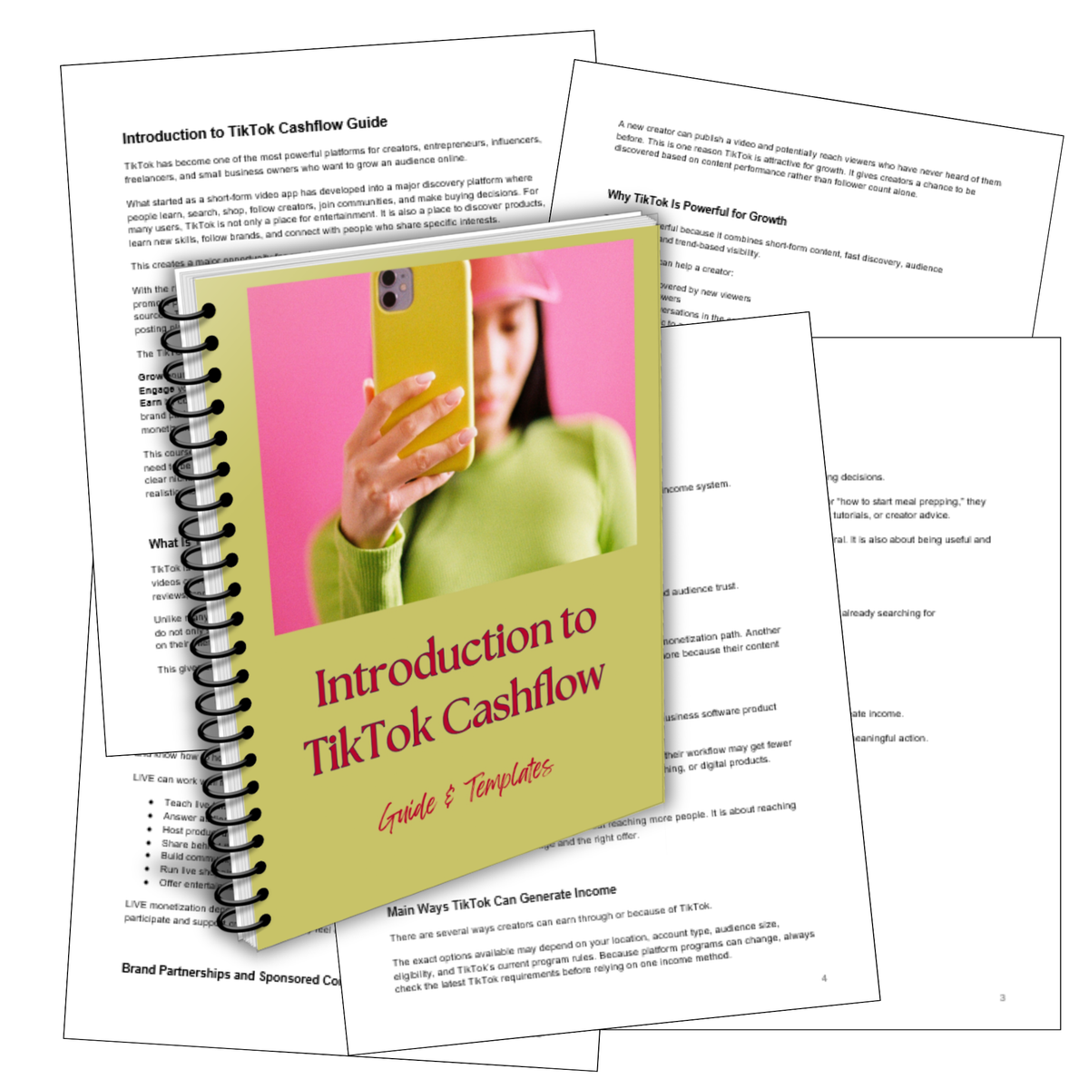 PLR TikTok Cashflow Guide and Templates