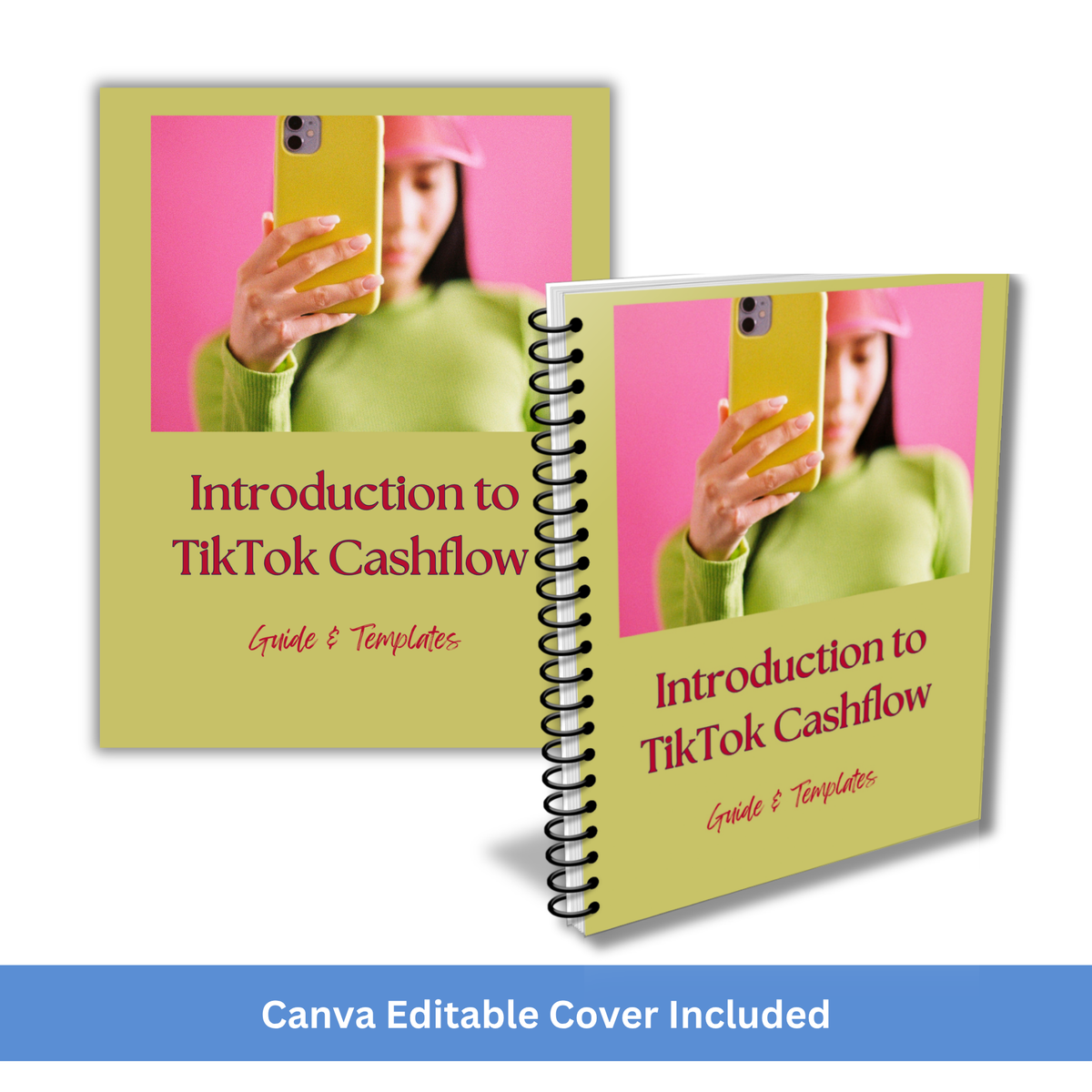 Introduction to TikTok PLR Guide and Templates