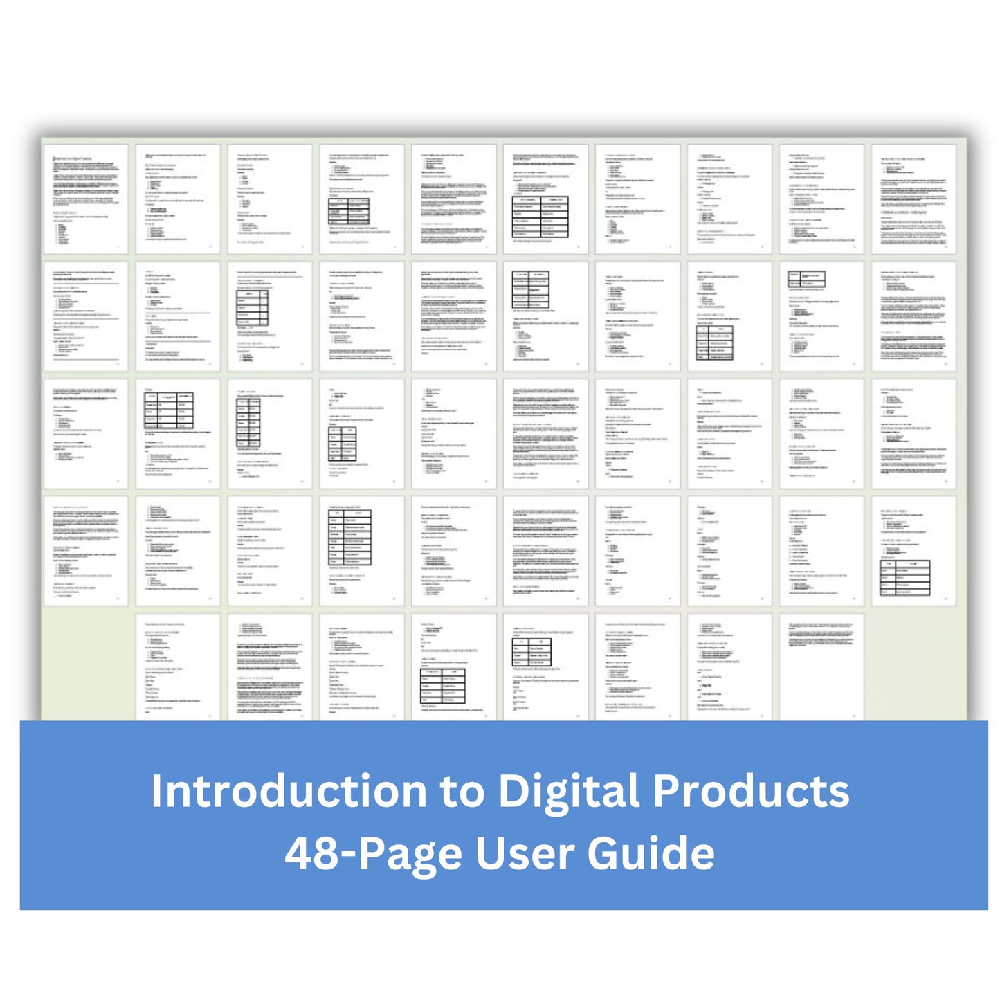 Introduction to Digital Products Guide + Templates