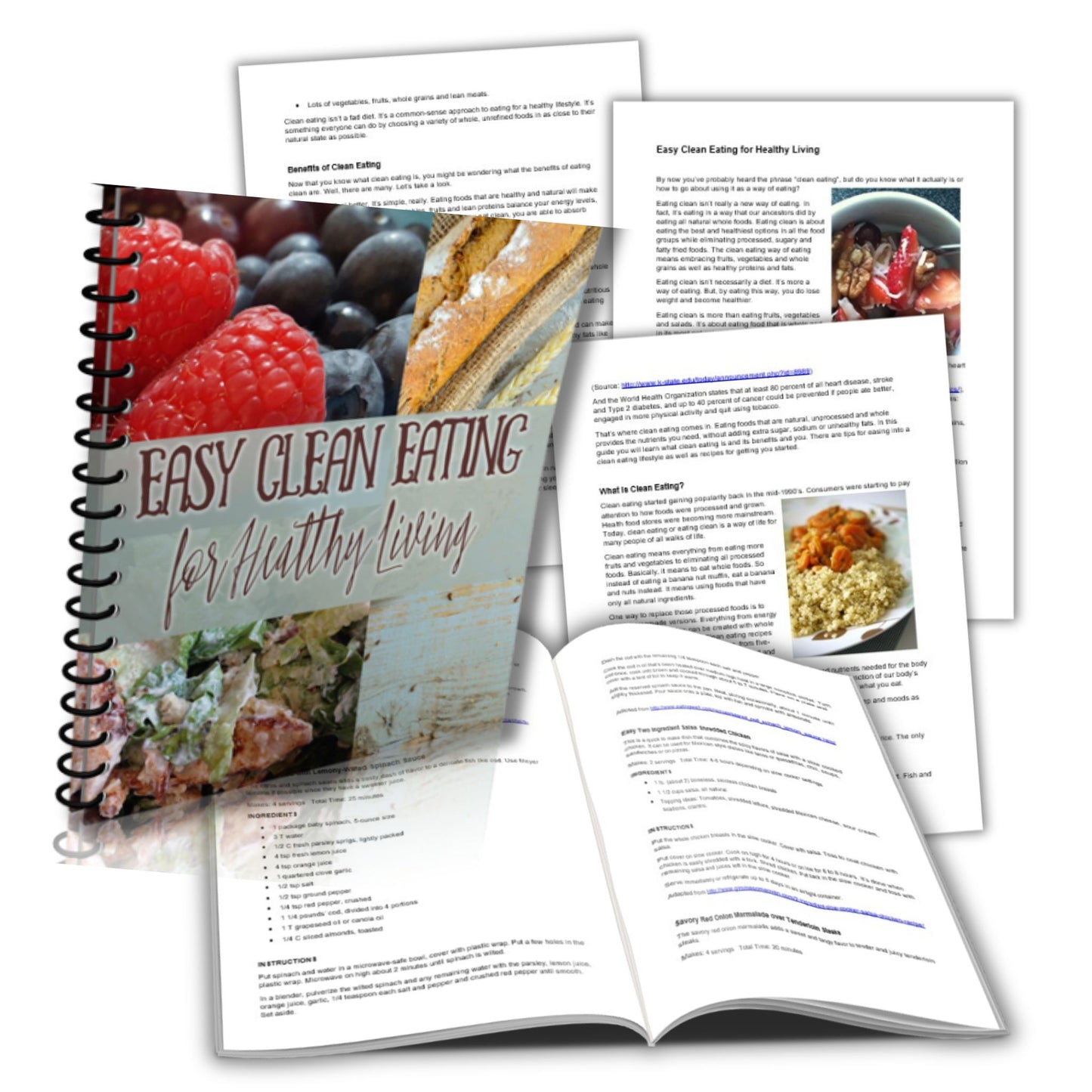Easy Clean Eating for Healthy Living Recipes - PLR Report