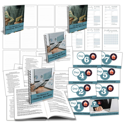The Basics of Financial Wellness PLR Course