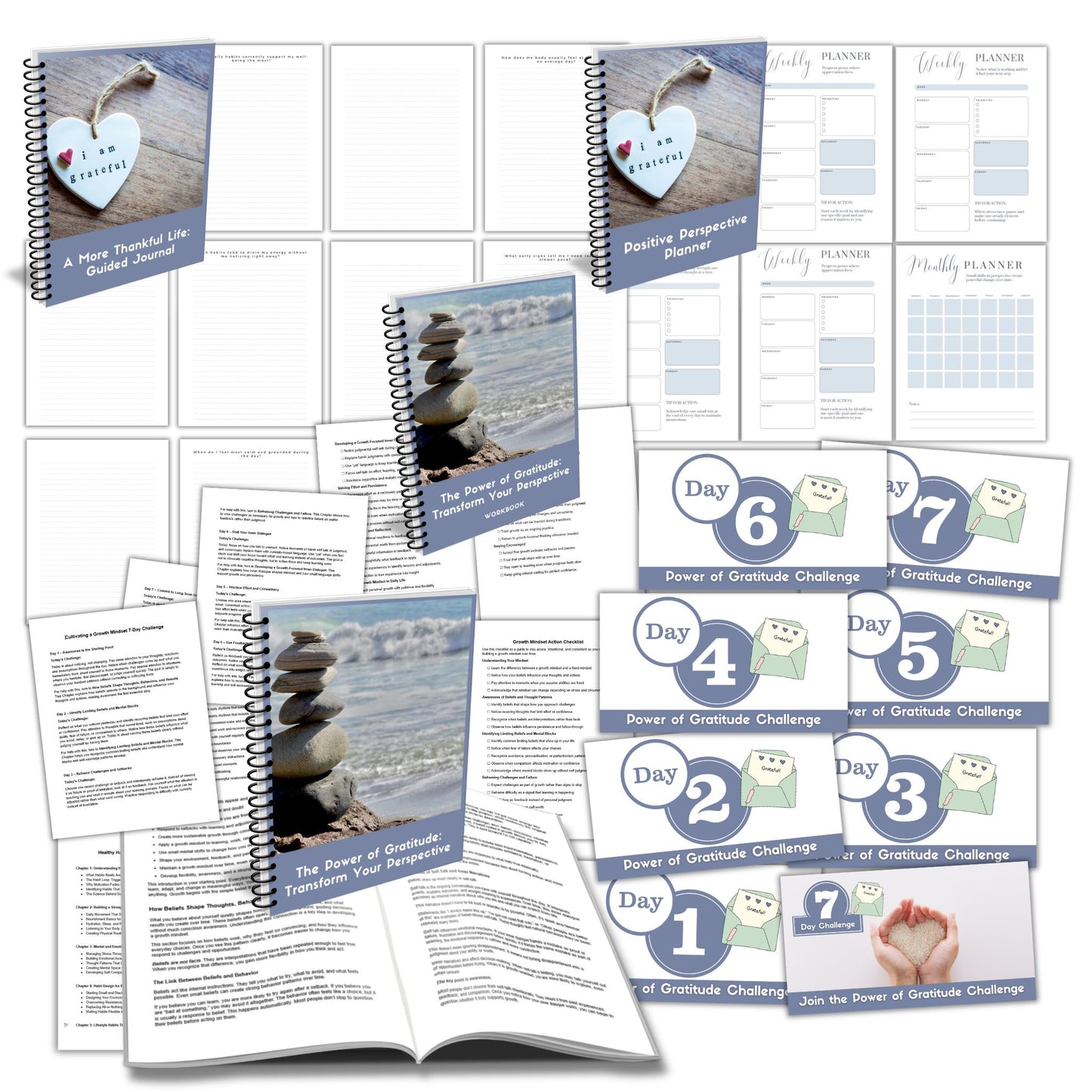The Power of Gratitude: Transform Your Perspective - PLR Course