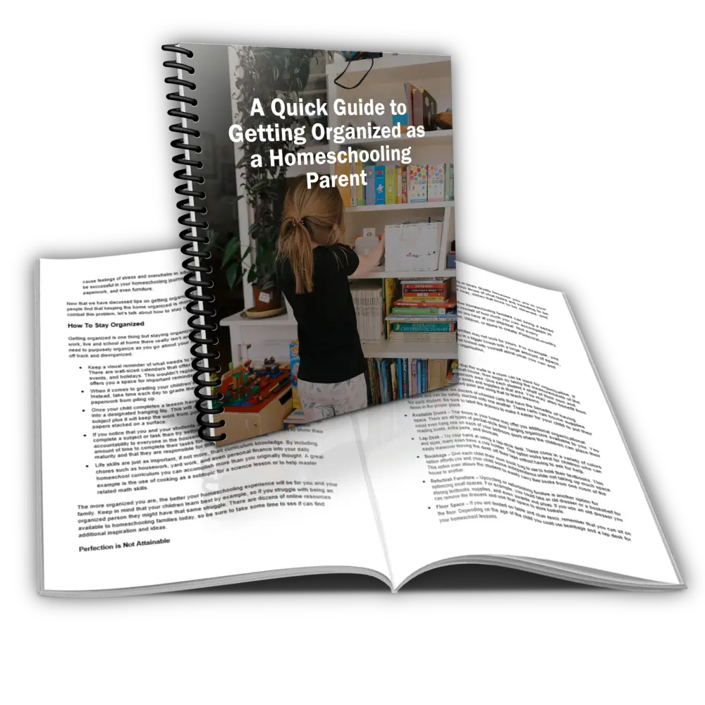 a quick guide to getting organized as a homeschooling parent plr report