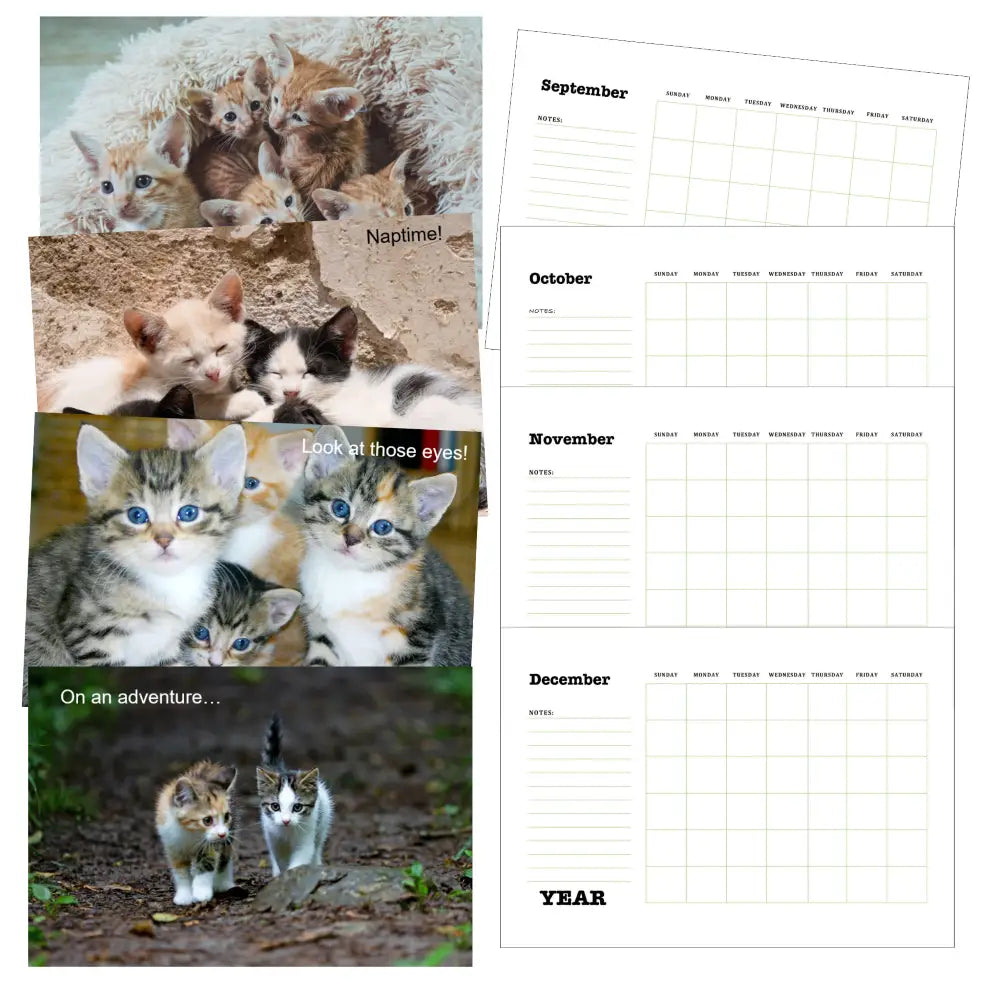 Adorable Kittens Calendar Plr Printable Calendars