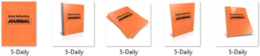 daily reflection journal PLR