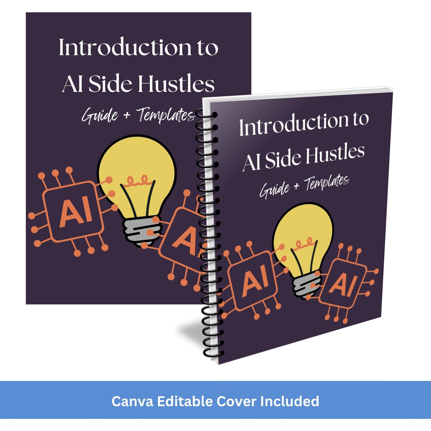 Introduction to AI Side Hustles PLR Ecovers