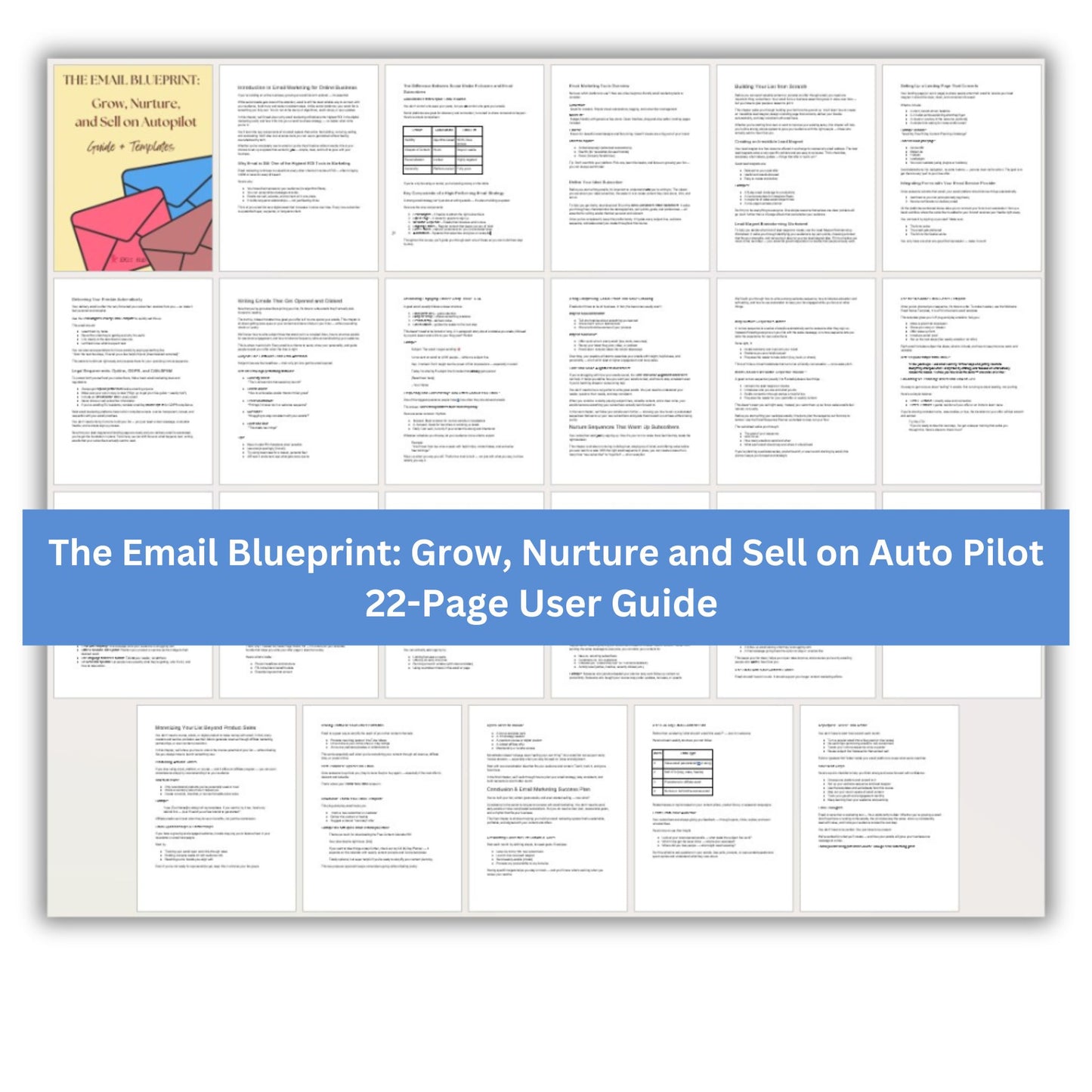 The Email Blueprint: Grow, Nurture, and Sell on Autopilot Guide + Templates