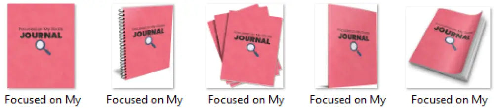 focused on my goals plr journal
