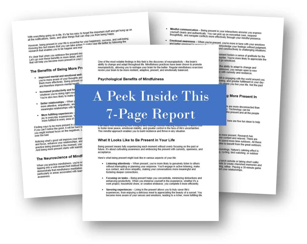 Fun Ideas For Being More Present Plr Report - Living In The Now Content With Private Label Rights