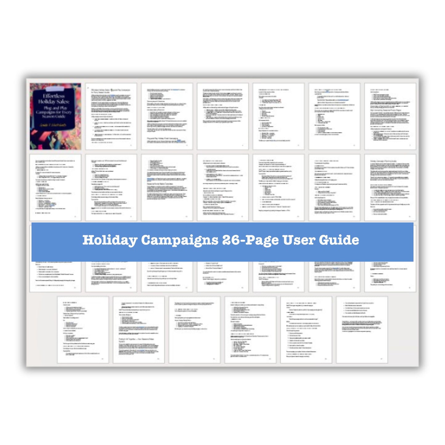 Effortless Holiday Sales PLR Guide