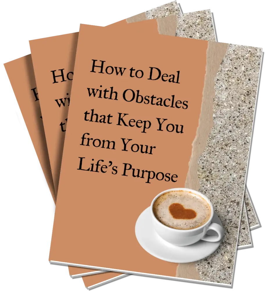 How to Deal with Obstacles PLR Guide eCover