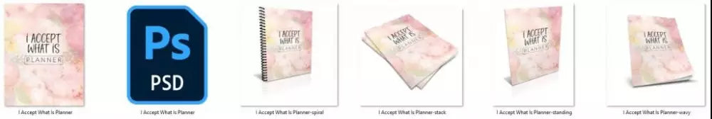 I Accept What Is Self-Love 365-Day Printable Planner Plr Planners