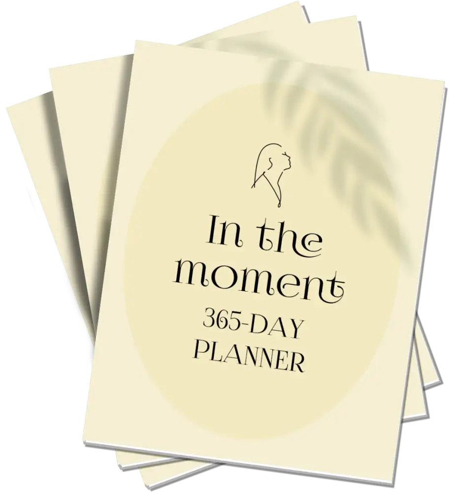 in the moment plr planner