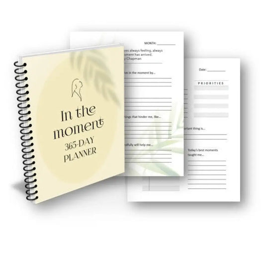 In the Moment PLR Planner