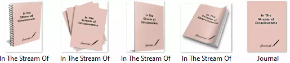 in the stream of consciousness plr journal