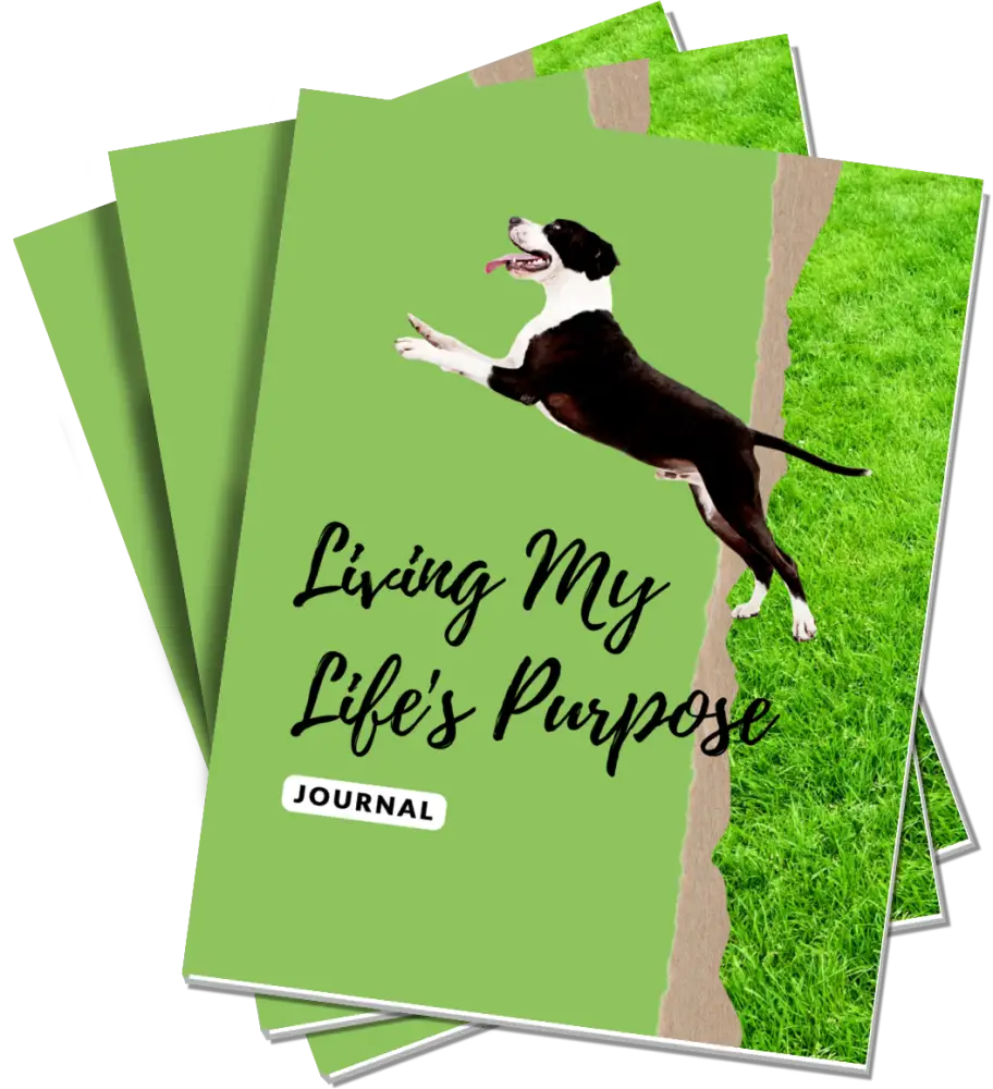 Living My Life's Purpose Journal PLR