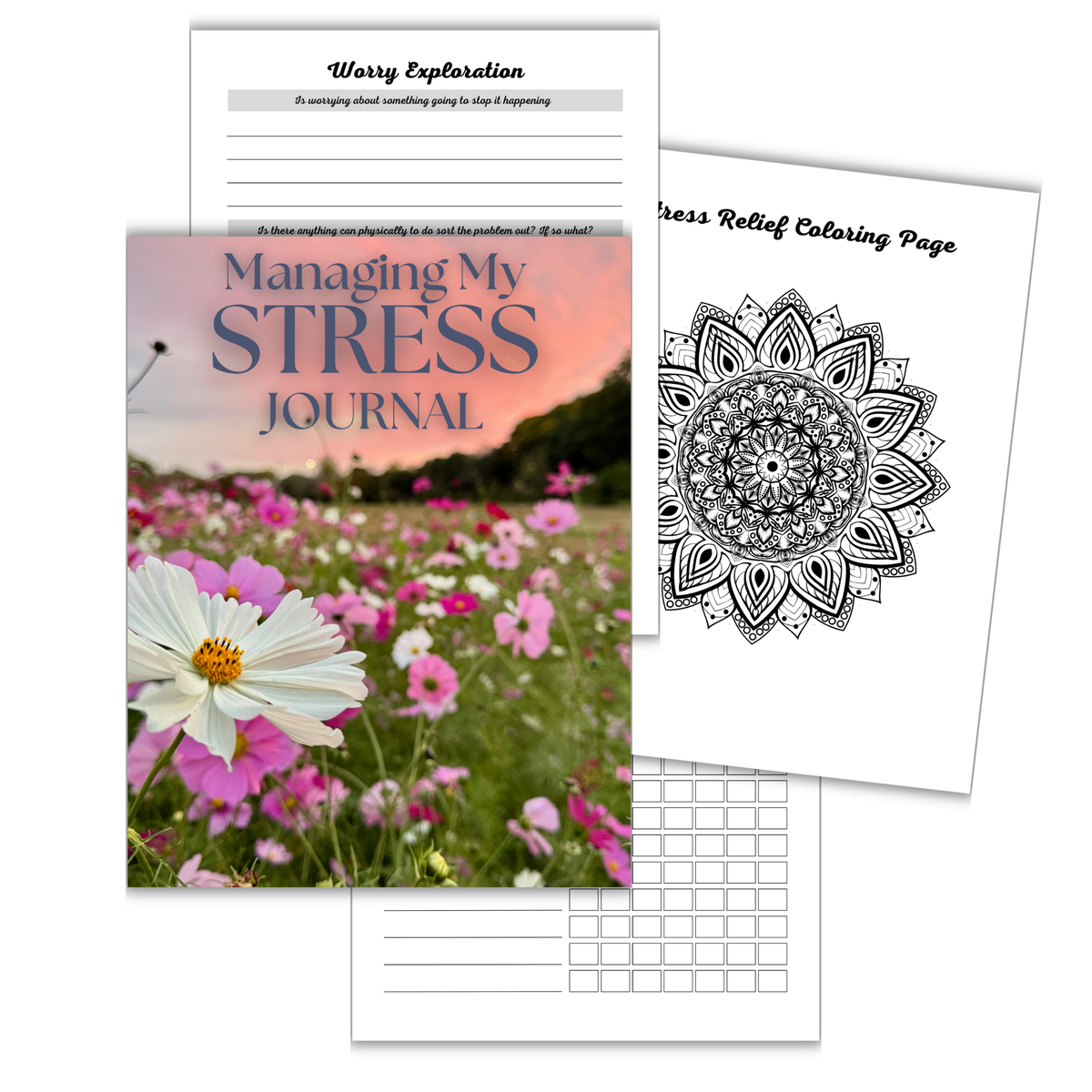 PLR Journal Managing My Stress