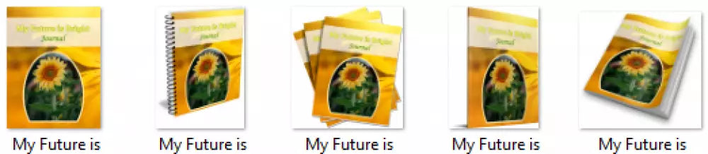 my future is bright private label rights journal