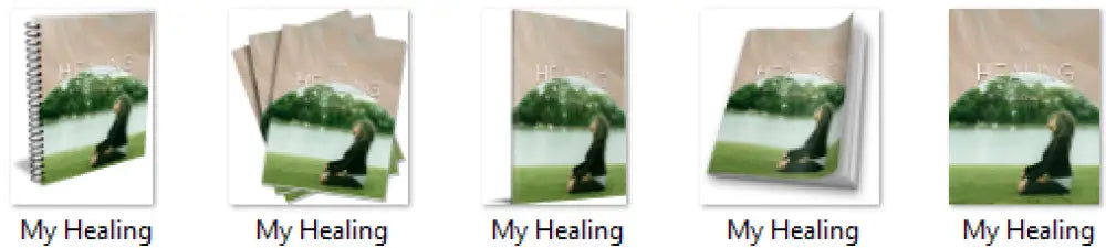 my healing private label rights journal