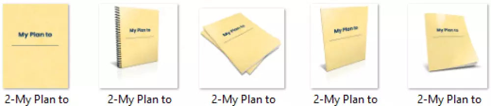 my plan to plr journal