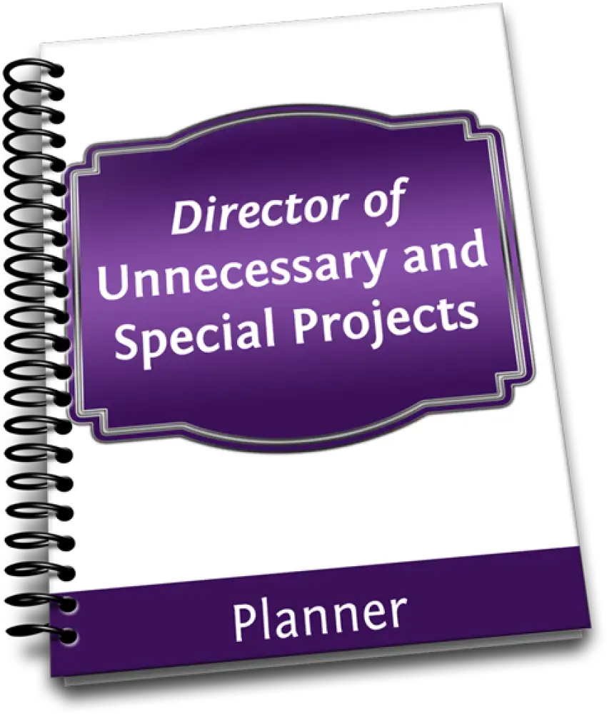 director of unnecessary and special projects PLR planner