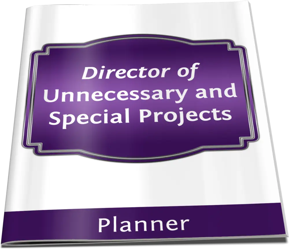 director of unnecessary and special projects PLR planner