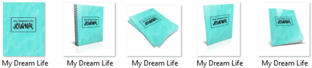 my dream life plr journal