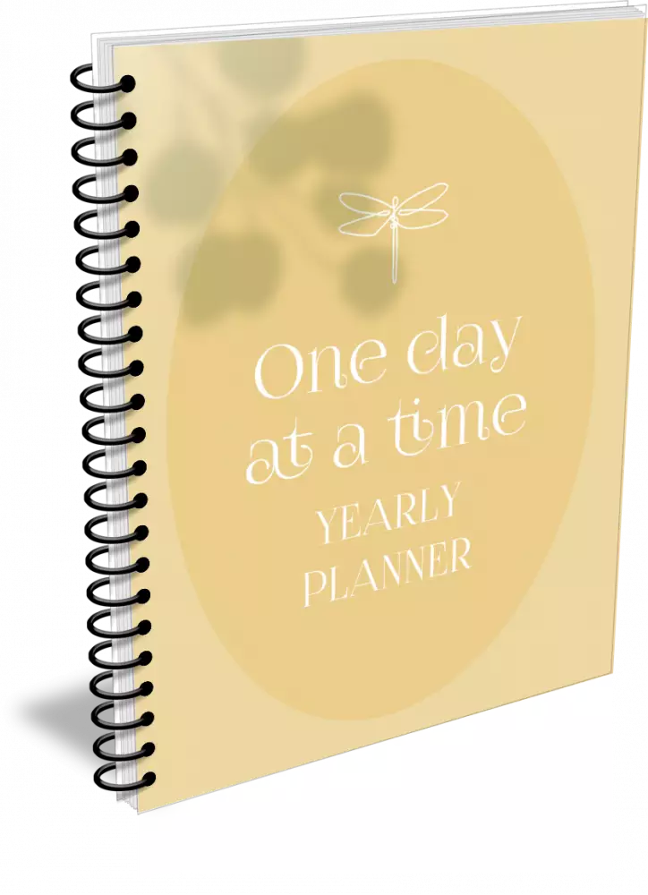 one day at a time private label rights planner