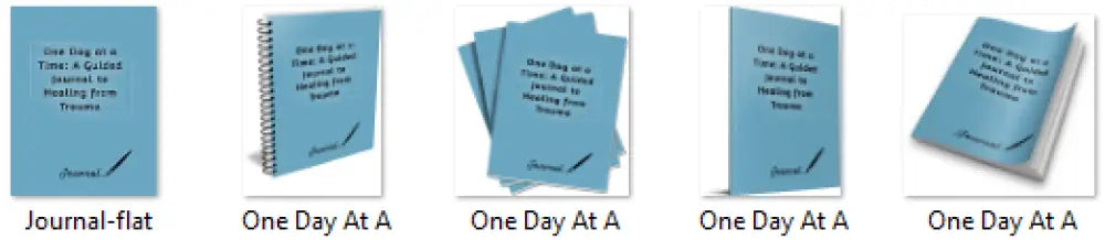 one day at a time plr journal
