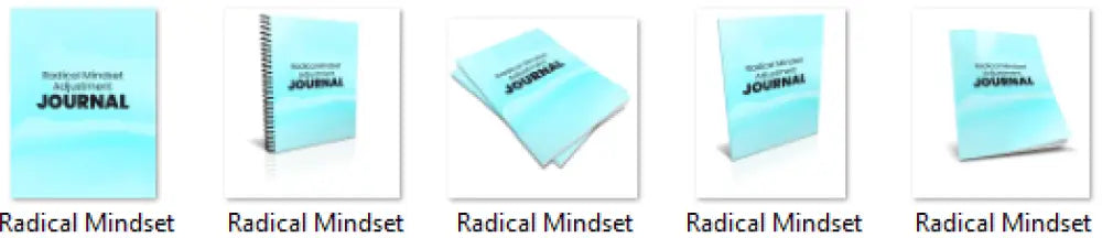 radical mindset adjustment commercial use journal