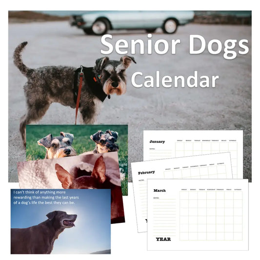 Senior Dogs Calendar Plr Printable Calendars