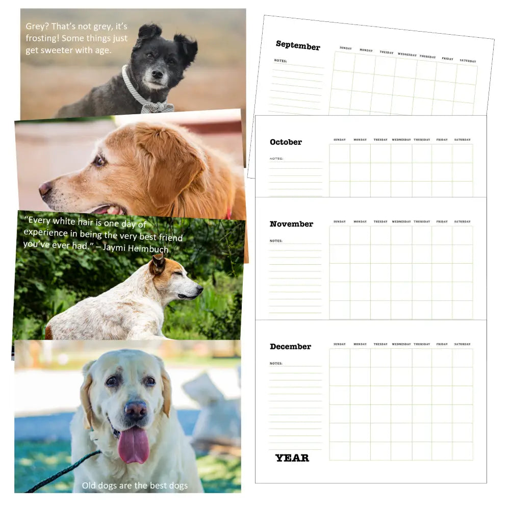 Senior Dogs Calendar Plr Printable Calendars