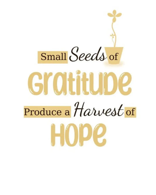 Small Seeds Of Gratitude Plr Poster Graphic - For Print-On-Demand Wall Art And More Printable