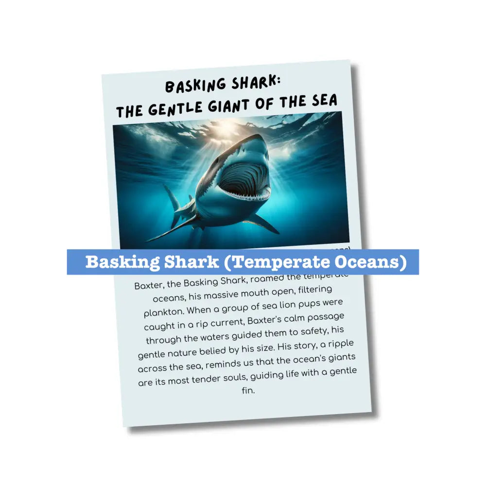 ’Strange Animals In The Ocean’ Kid’s Activities- Plr Rights Printable Journals