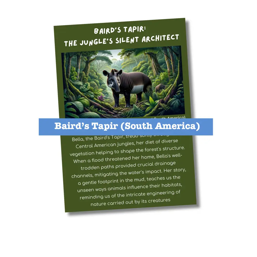 ’Strange South American Animals’ Kid’s Activities- Plr Rights Printable Journals