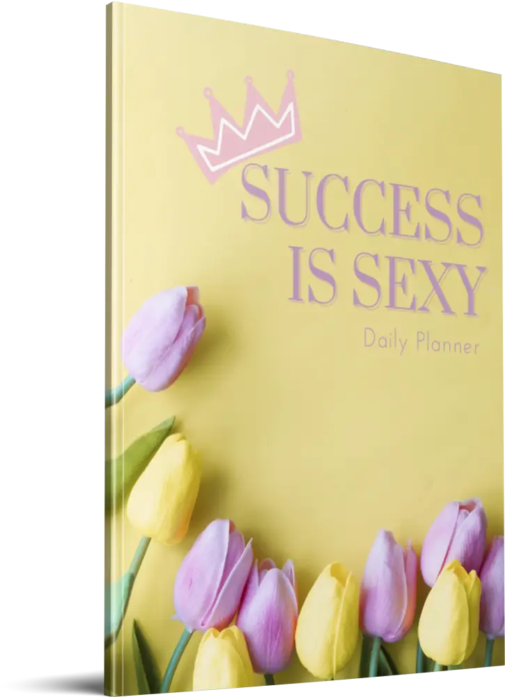 success is sexy plr planner