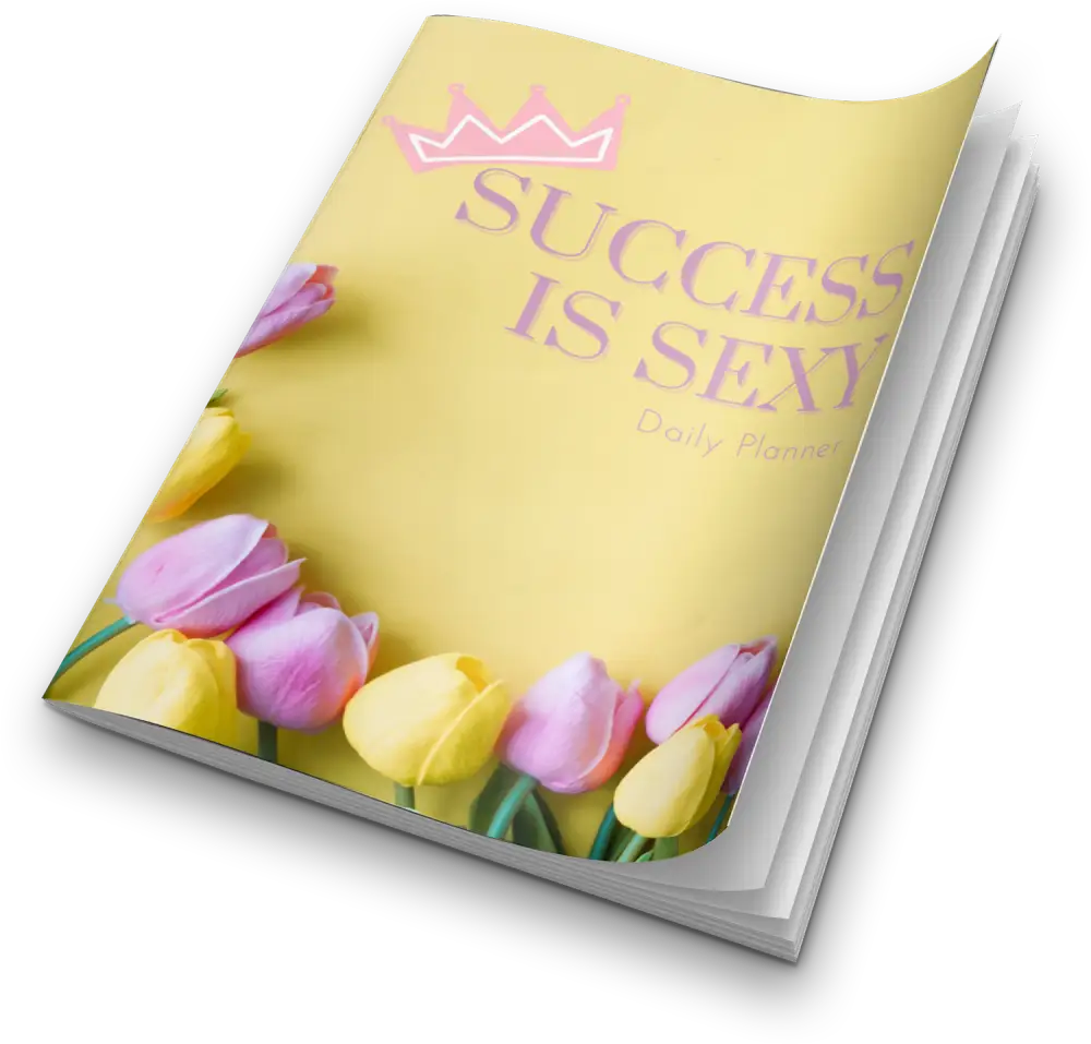 success is sexy plr planner