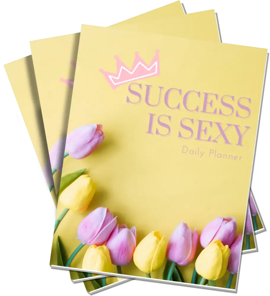 success is sexy plr planner