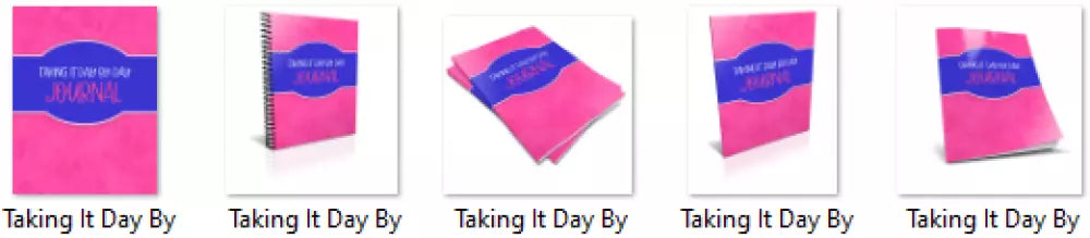 taking it day by day plr journal